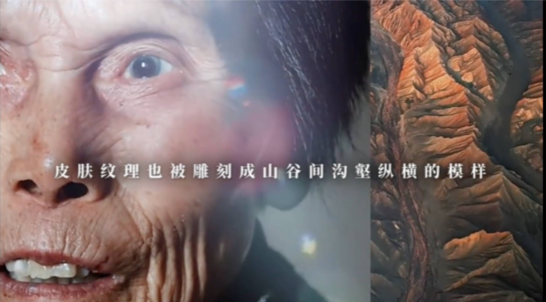 升格慢镜头,不是为了好看